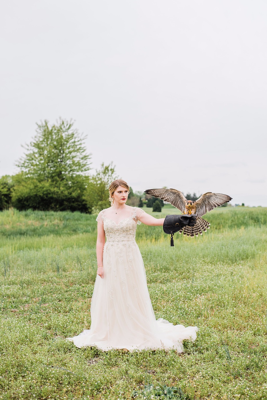 Falcon and the bride