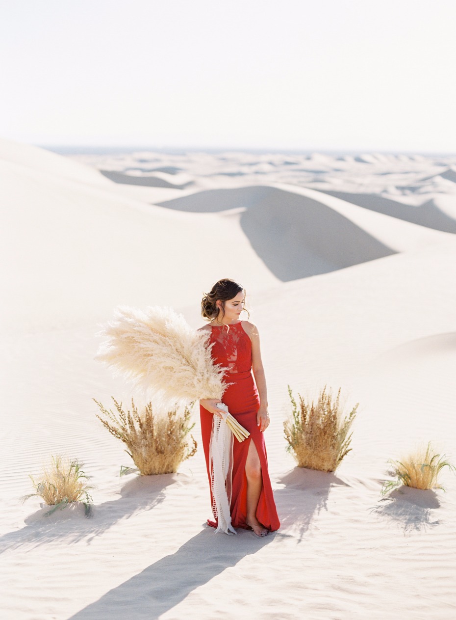 desert minimalist wedding backdrop