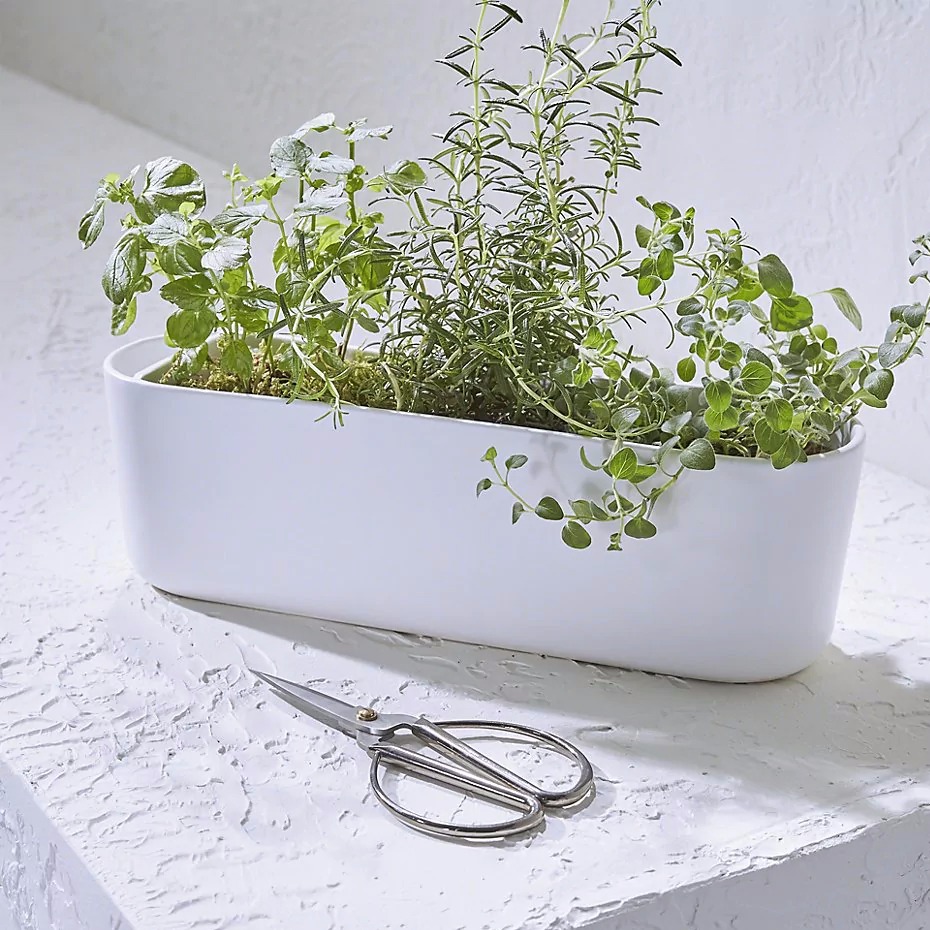 matte white ceramic white oval container for herbs