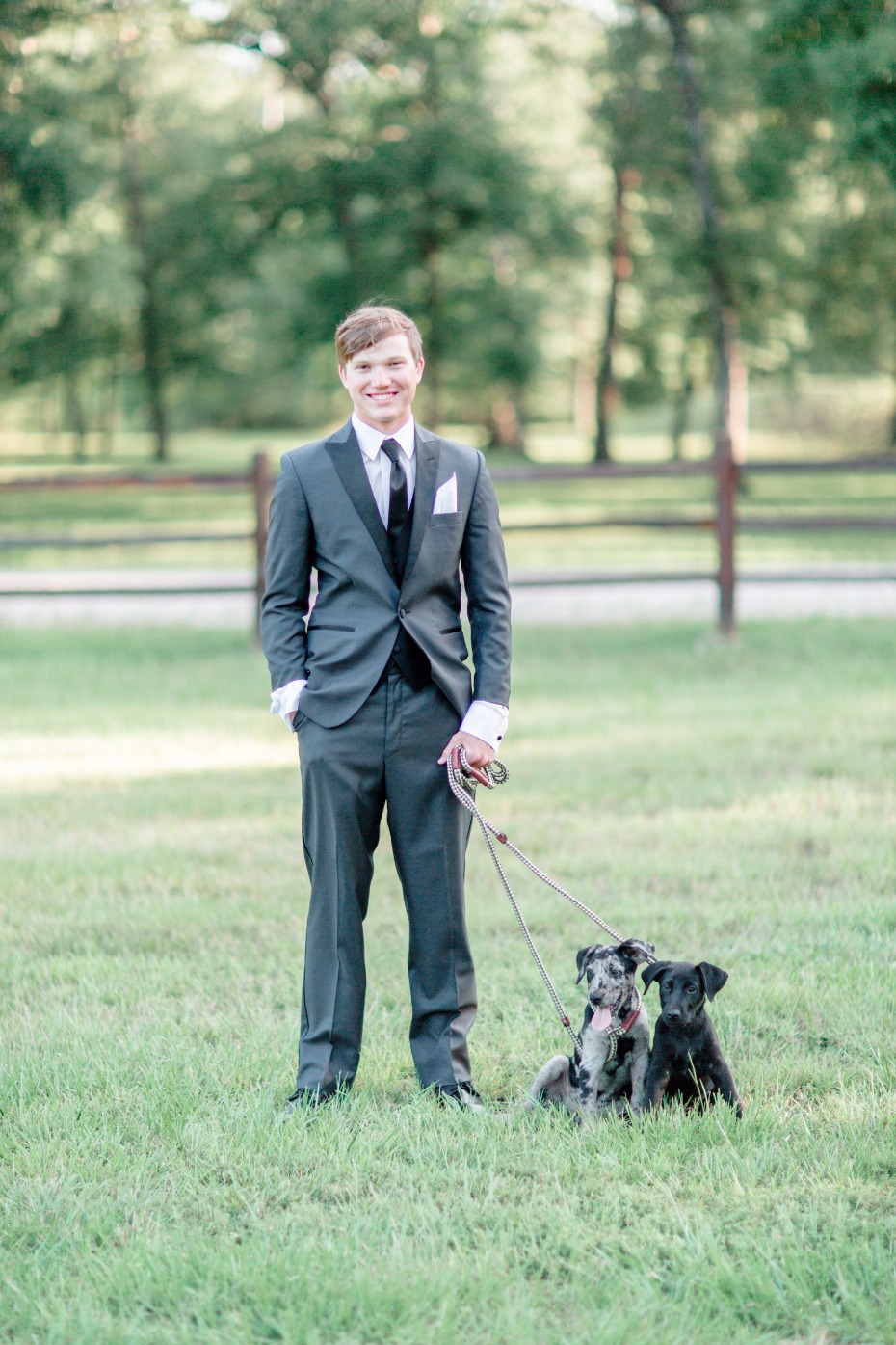 who's cuter this groom in his three piece suit or these adorable puppies