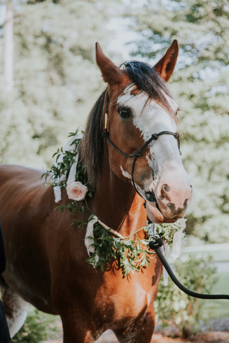 romantic flower halo for the wedding horse