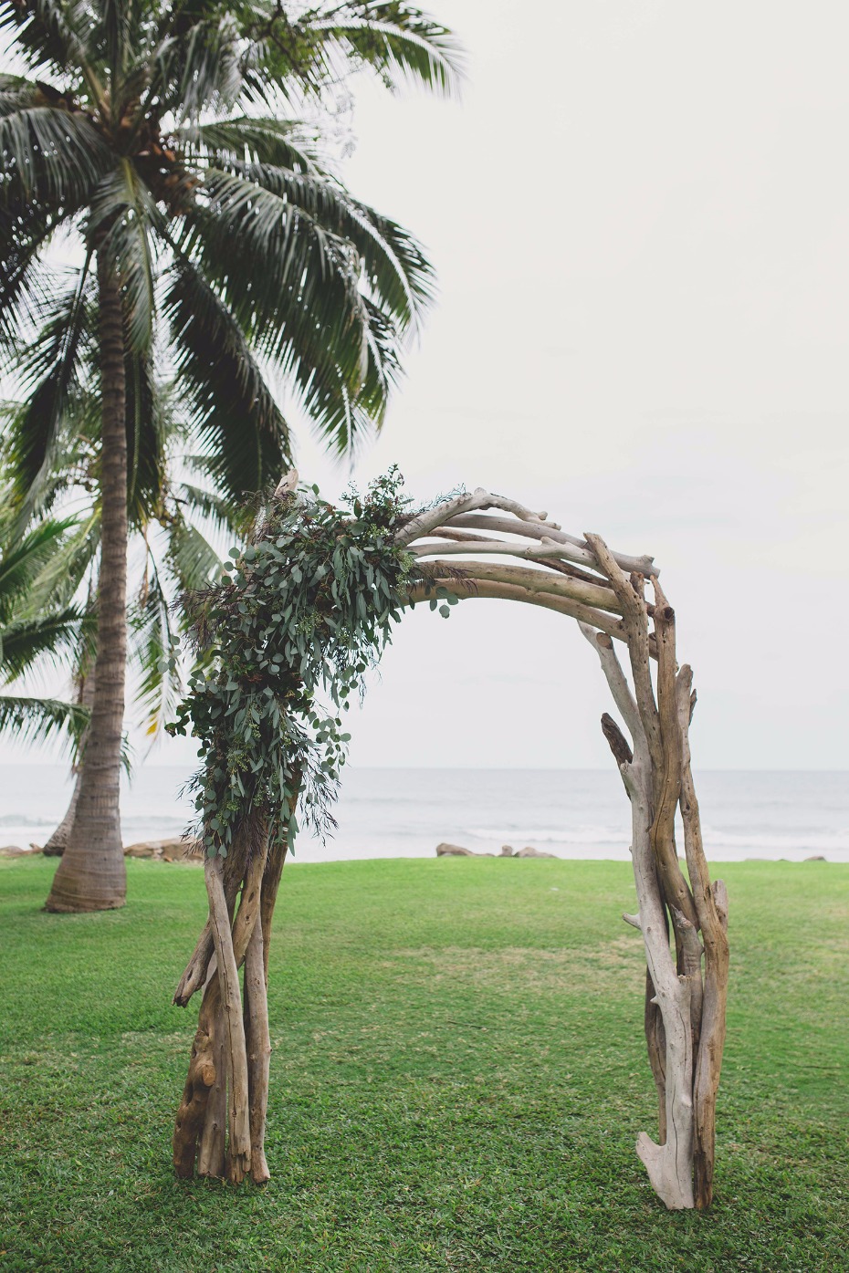 Drift wood arch with greenery