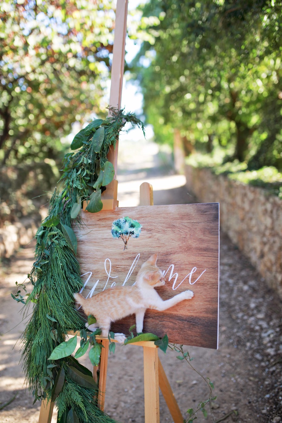 welcome wedding sign and kitten