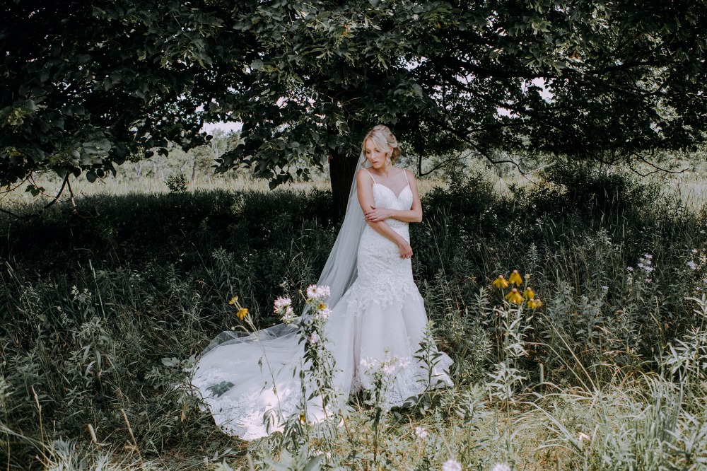 wedding-submission