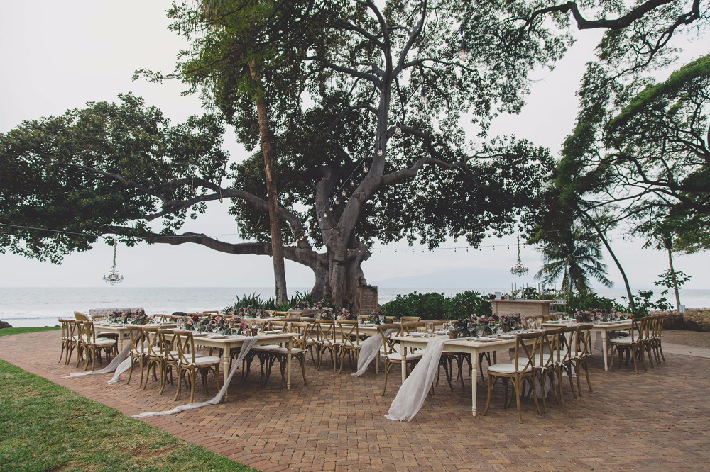 wedding-submission-from-erica-goldsmith
