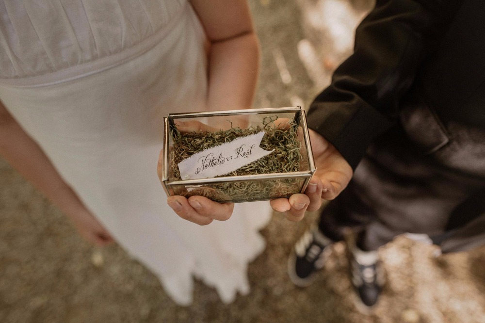 wedding-submission-from-paloma-cruz