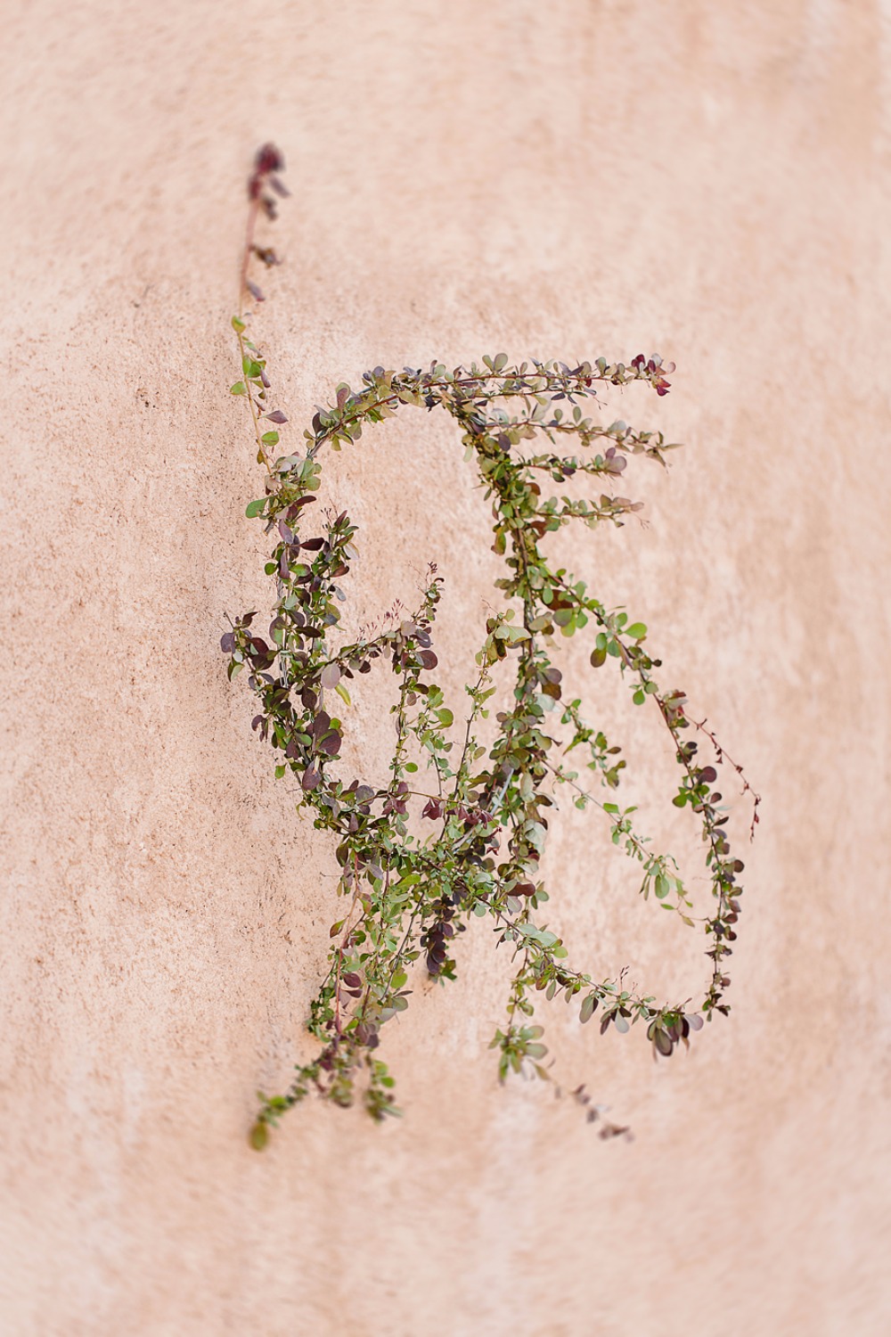 wedding-submission-from-poshum-events