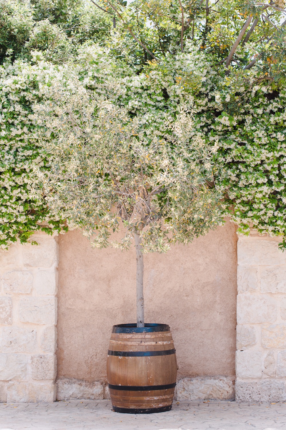 wedding-submission-from-poshum-events
