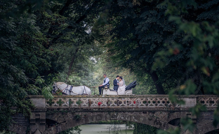 horse drawn carriage ride for your fairy tale wedding