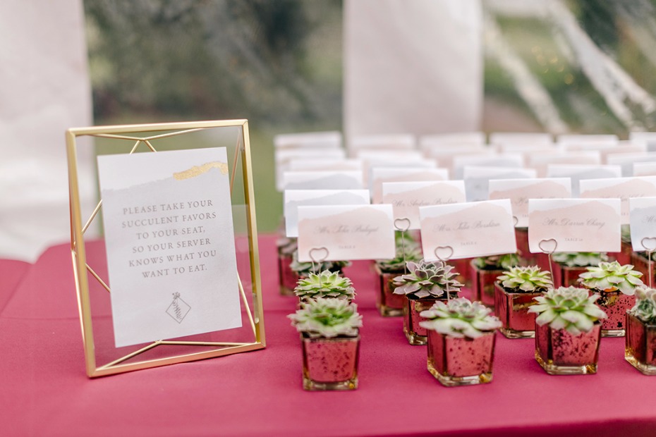 mini potted wedding succulent escort card holders