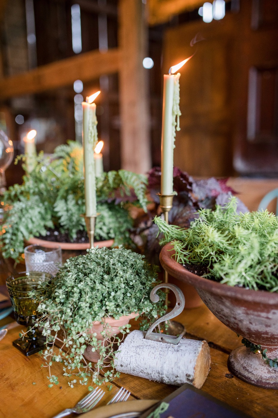 living wedding centerpieces for your organic rustic chic wedding table