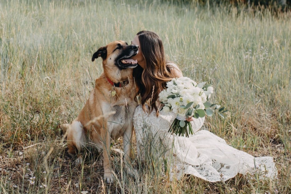 bride and her wedding dog