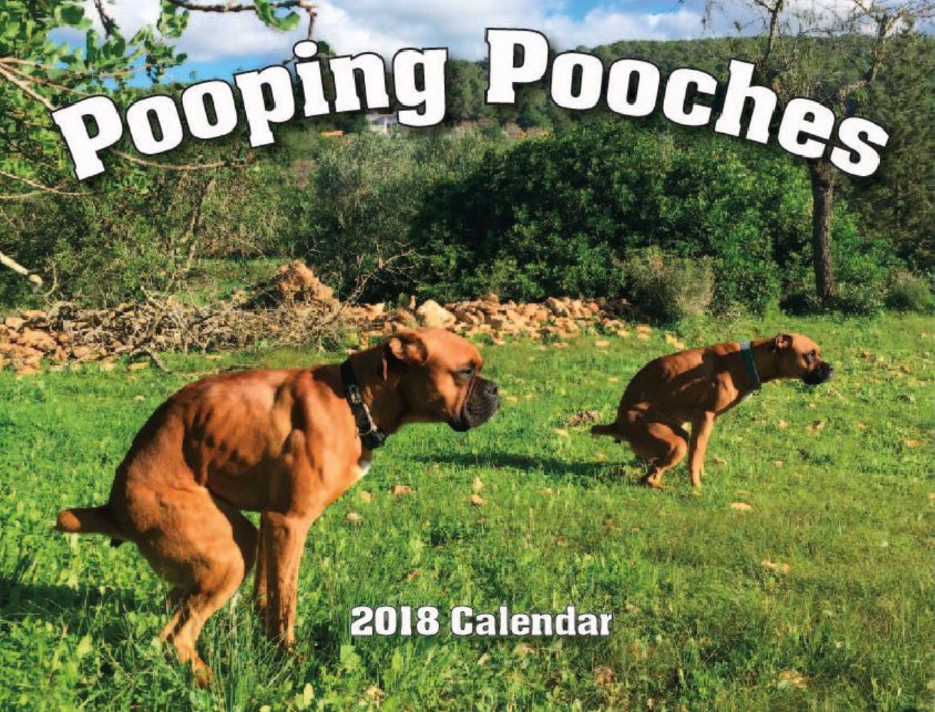 poopingpooches