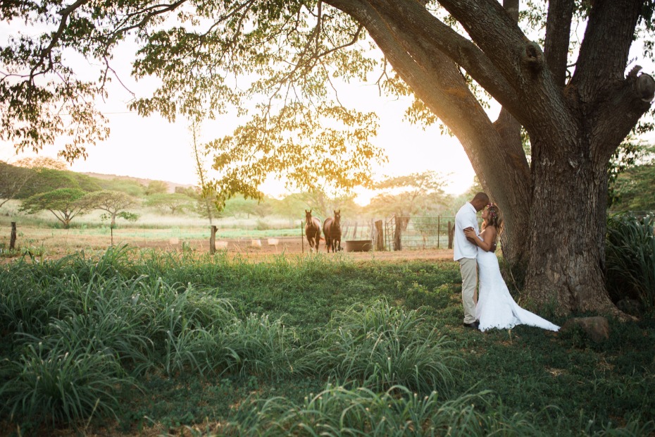 romantic wedding photos at sunset at Dillingham Ranch in Hawaii
