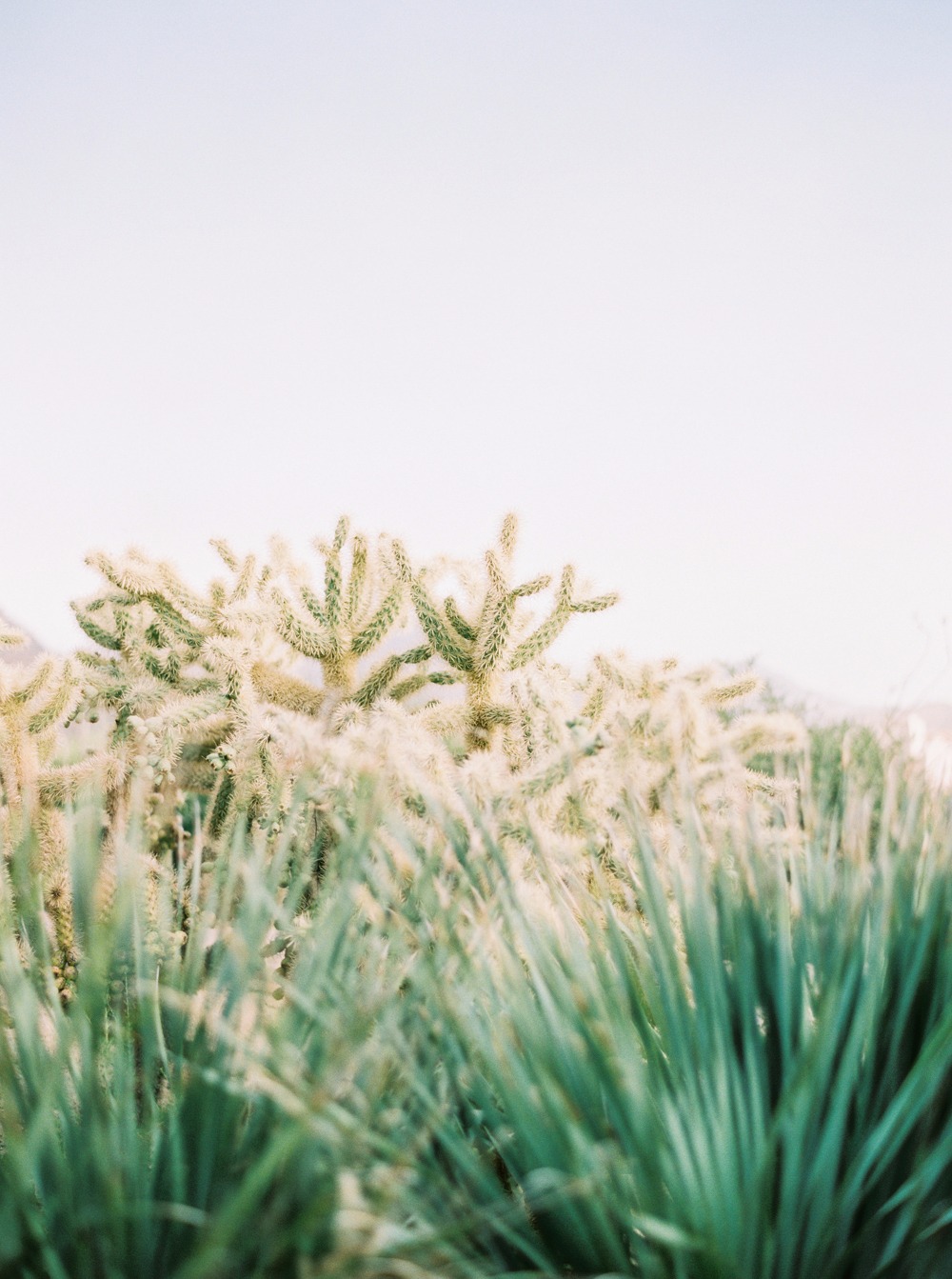 sea-meets-sand-in-this-tropical-themed