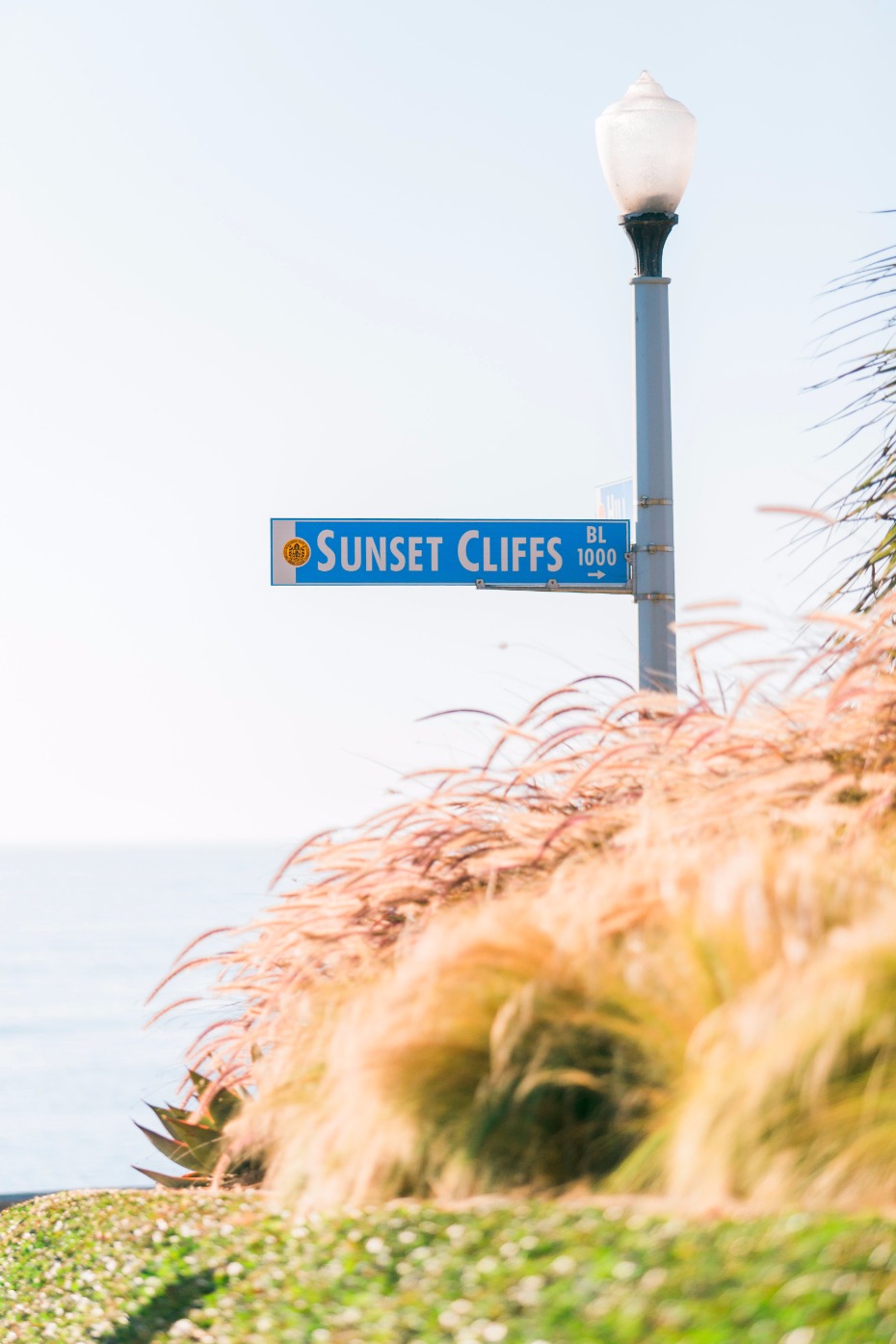 sunset cliffs in San Diego