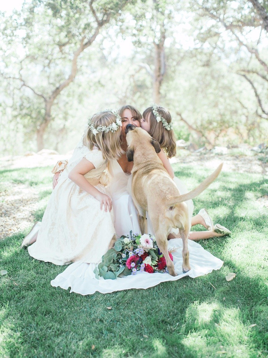 puppy kiss for the beautiful bride