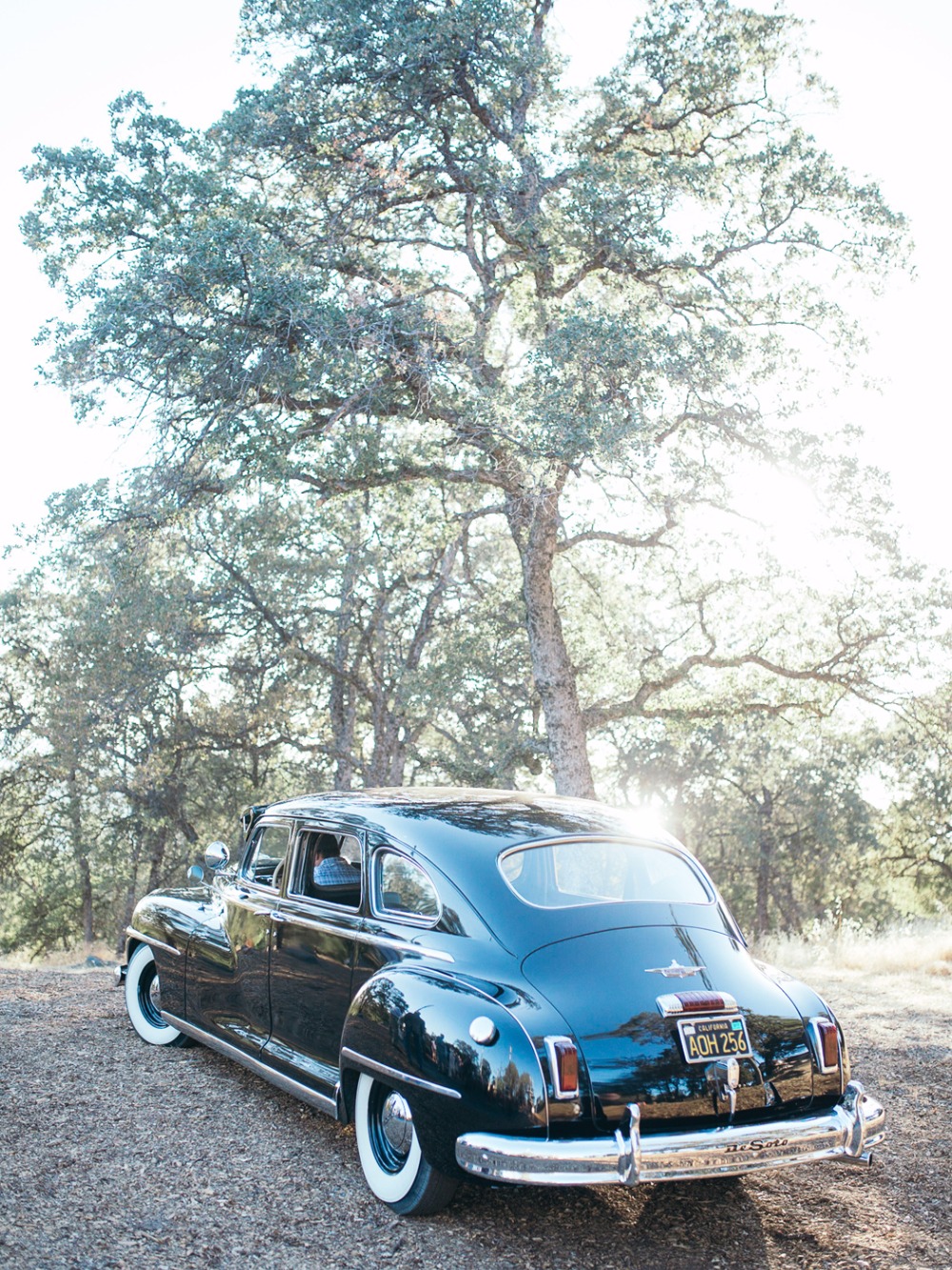 we-can-only-describe-this-wedding-as