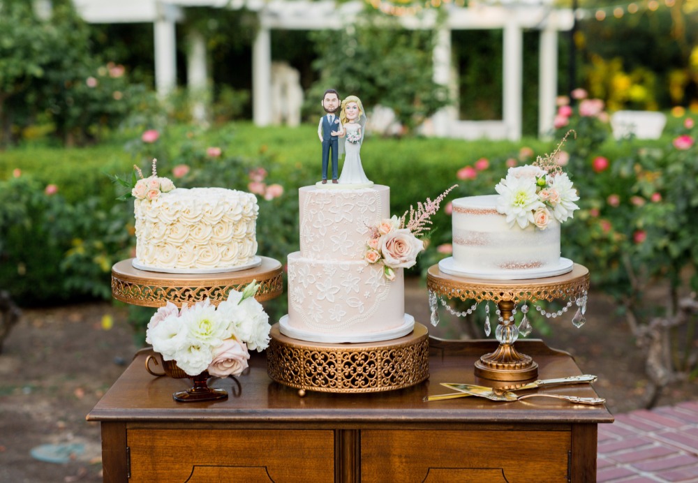 wedding-submission-from-anna-braff