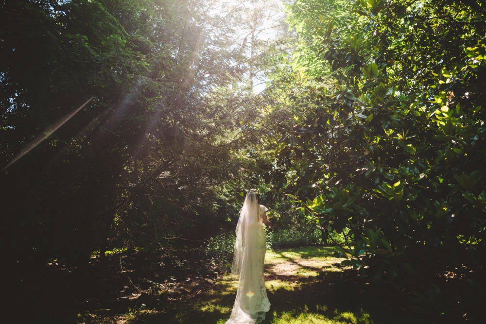 wedding-submission-from-derek-and