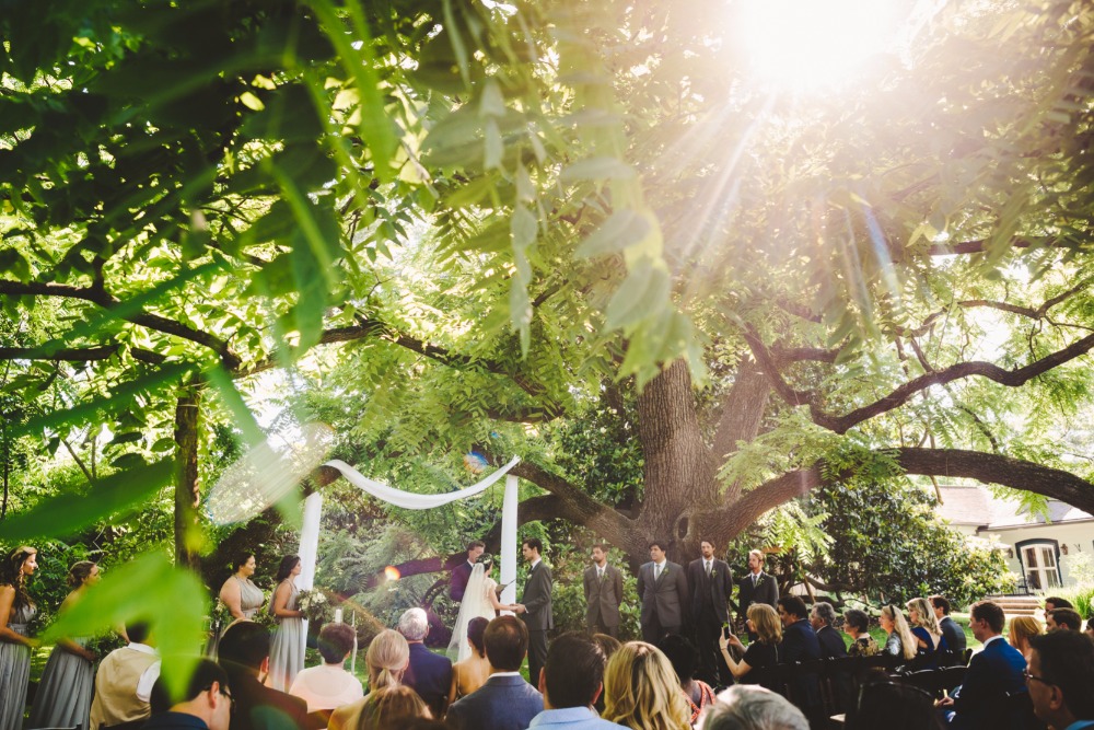 wedding-submission-from-derek-and