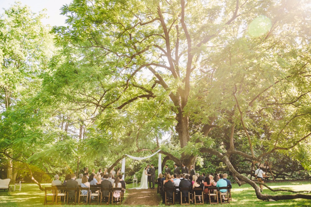 wedding-submission-from-derek-and