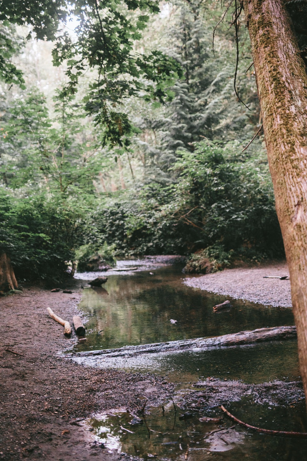 wedding-submission-from-elle-and-james