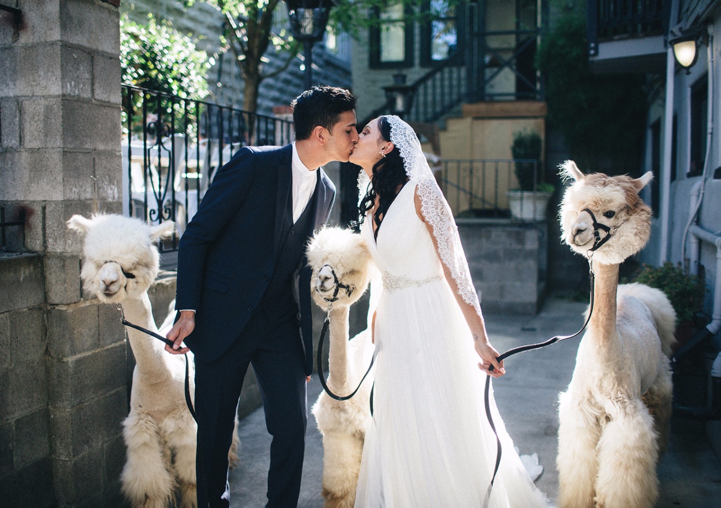 wedding-submission-from-kayla-jannika