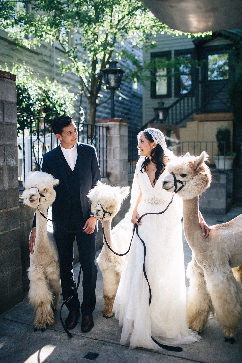 wedding-submission-from-kayla-jannika