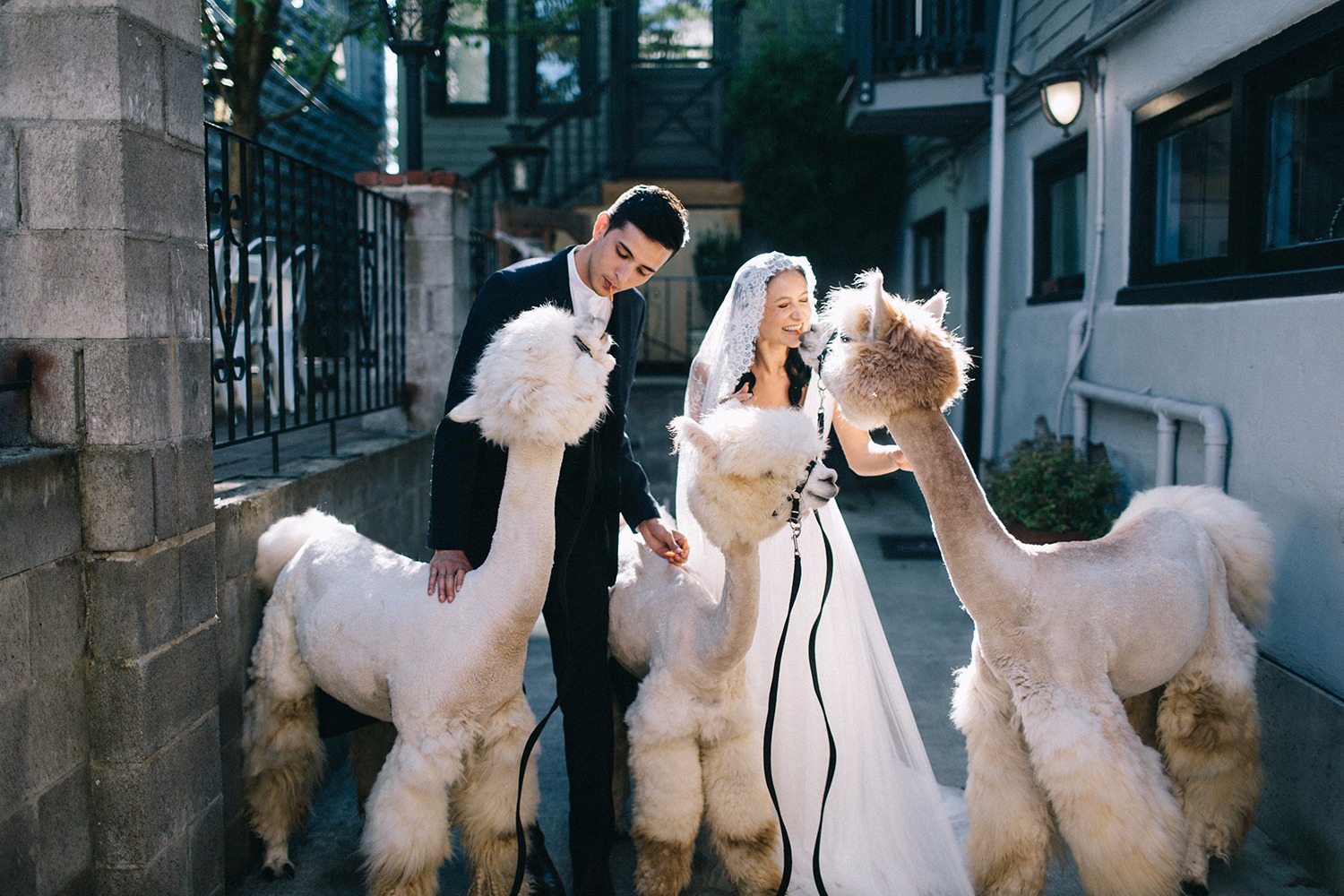 wedding-submission-from-kayla-jannika
