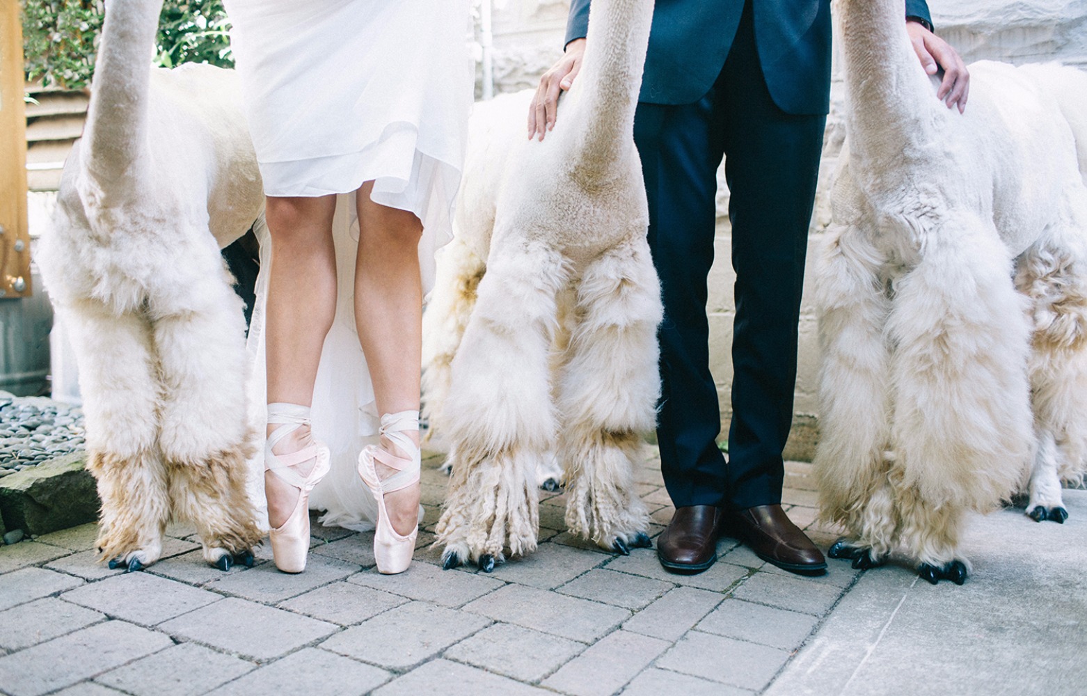 wedding-submission-from-kayla-jannika