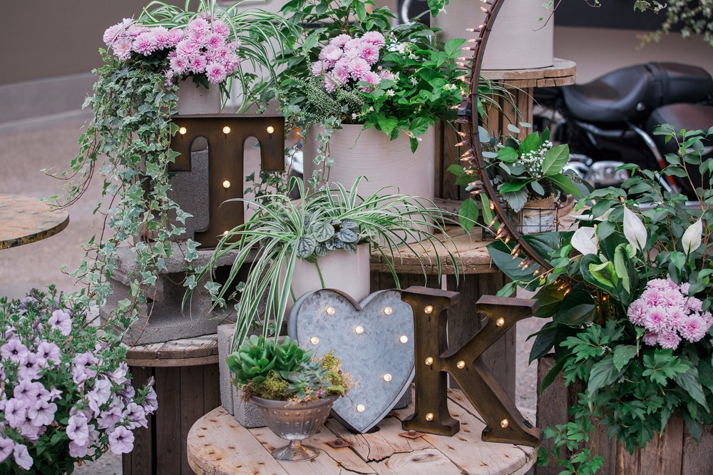 you-ve-never-seen-a-greenhouse-wedding
