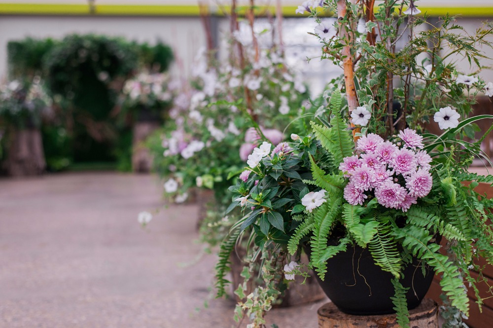 you-ve-never-seen-a-greenhouse-wedding