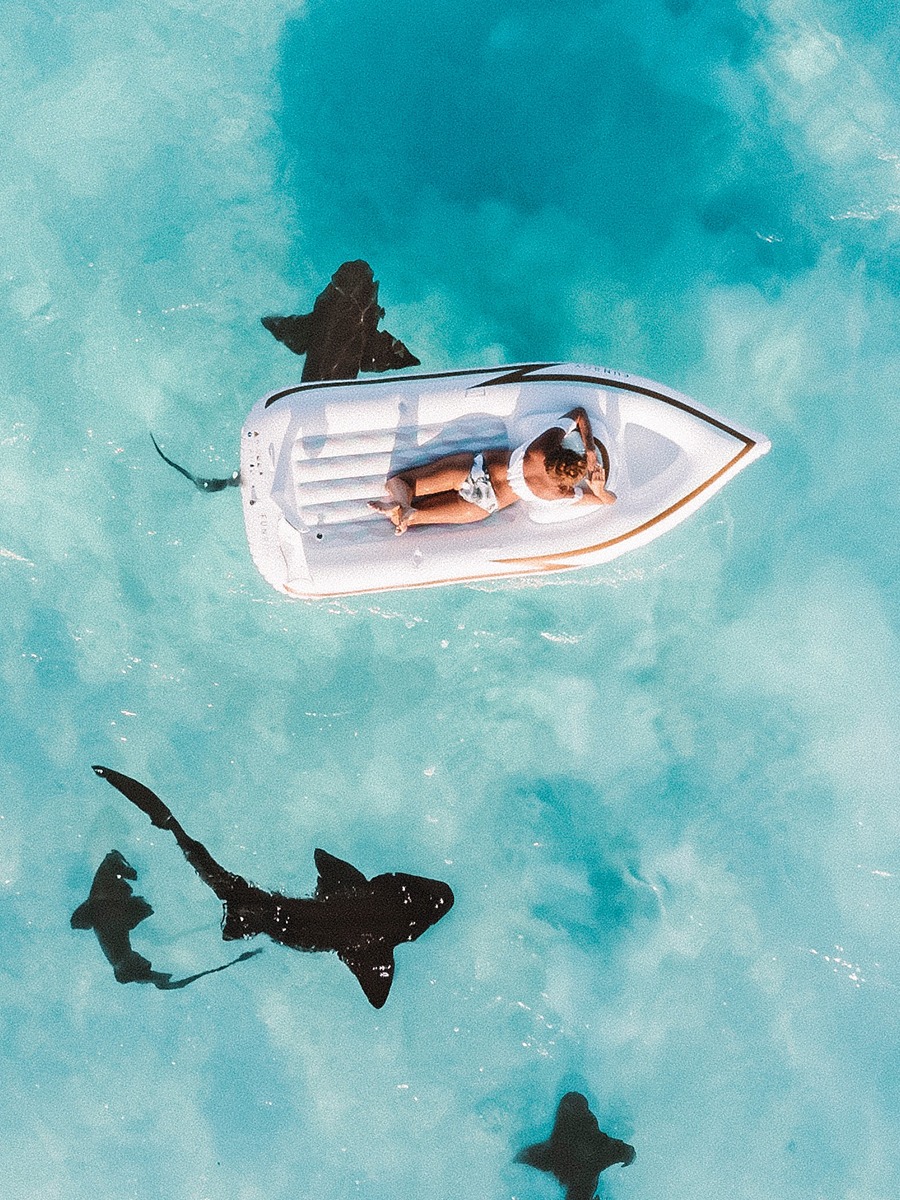 9 Things We'd Do Instead of Swimming With Sharks On Our Honeymoon