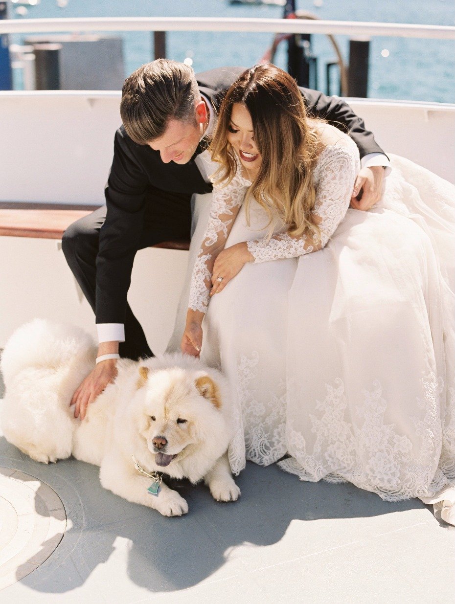 The bride and grooms pup