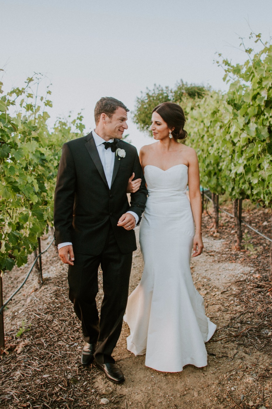 Vineyard wedding in California