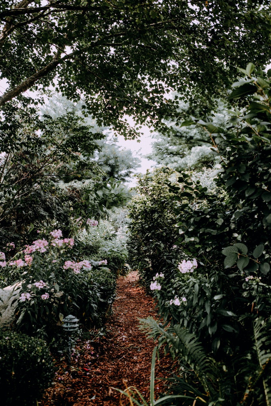 quaint garden path
