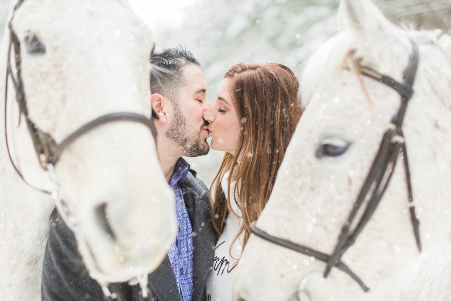 onelovetwohorsesandatonofsnowengagementshoot09