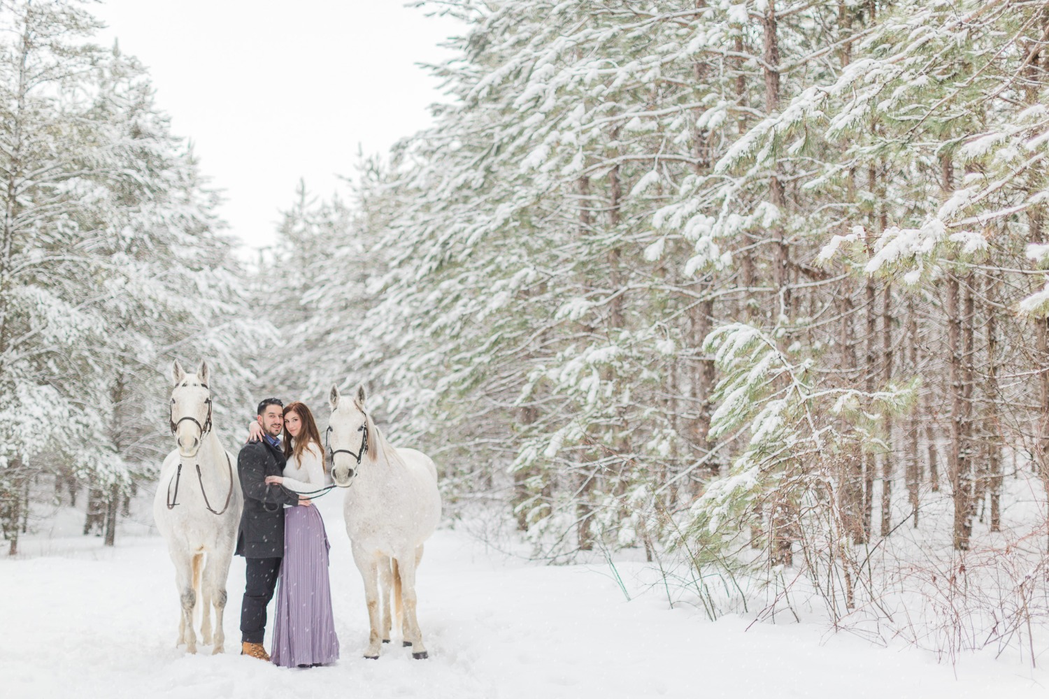 onelovetwohorsesandatonofsnowengagementshoot16