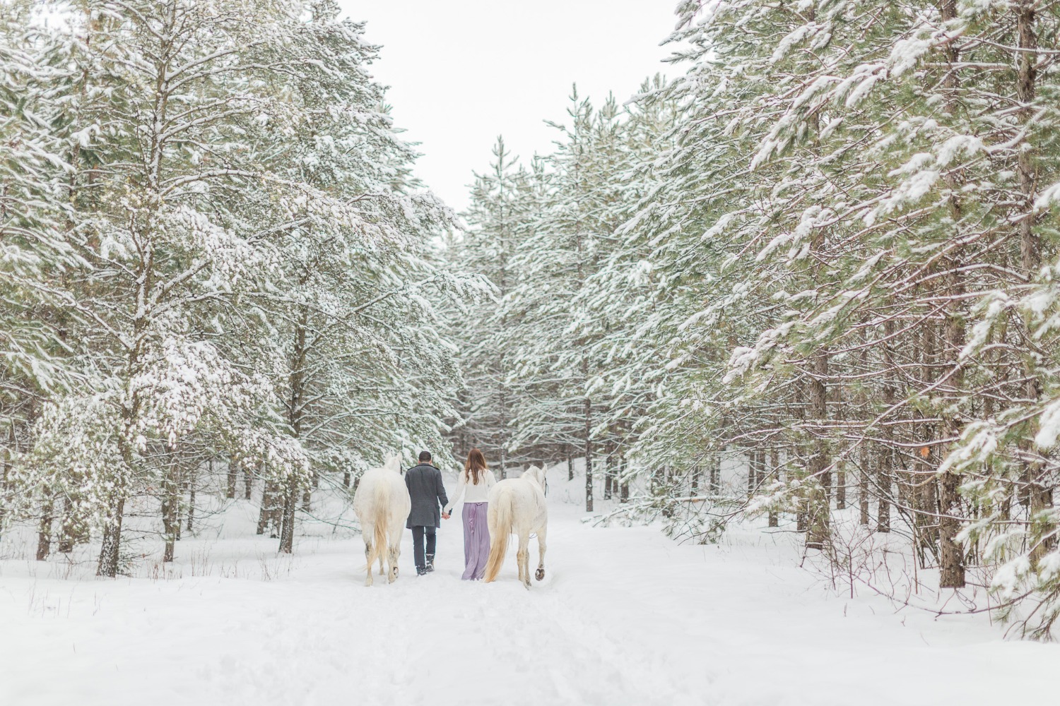 onelovetwohorsesandatonofsnowengagementshoot18