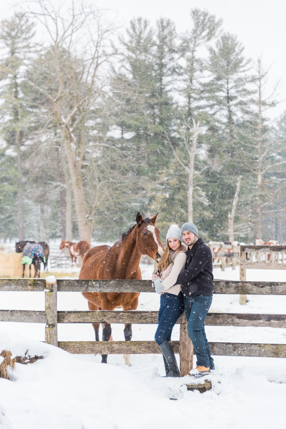 onelovetwohorsesandatonofsnowengagementshoot54