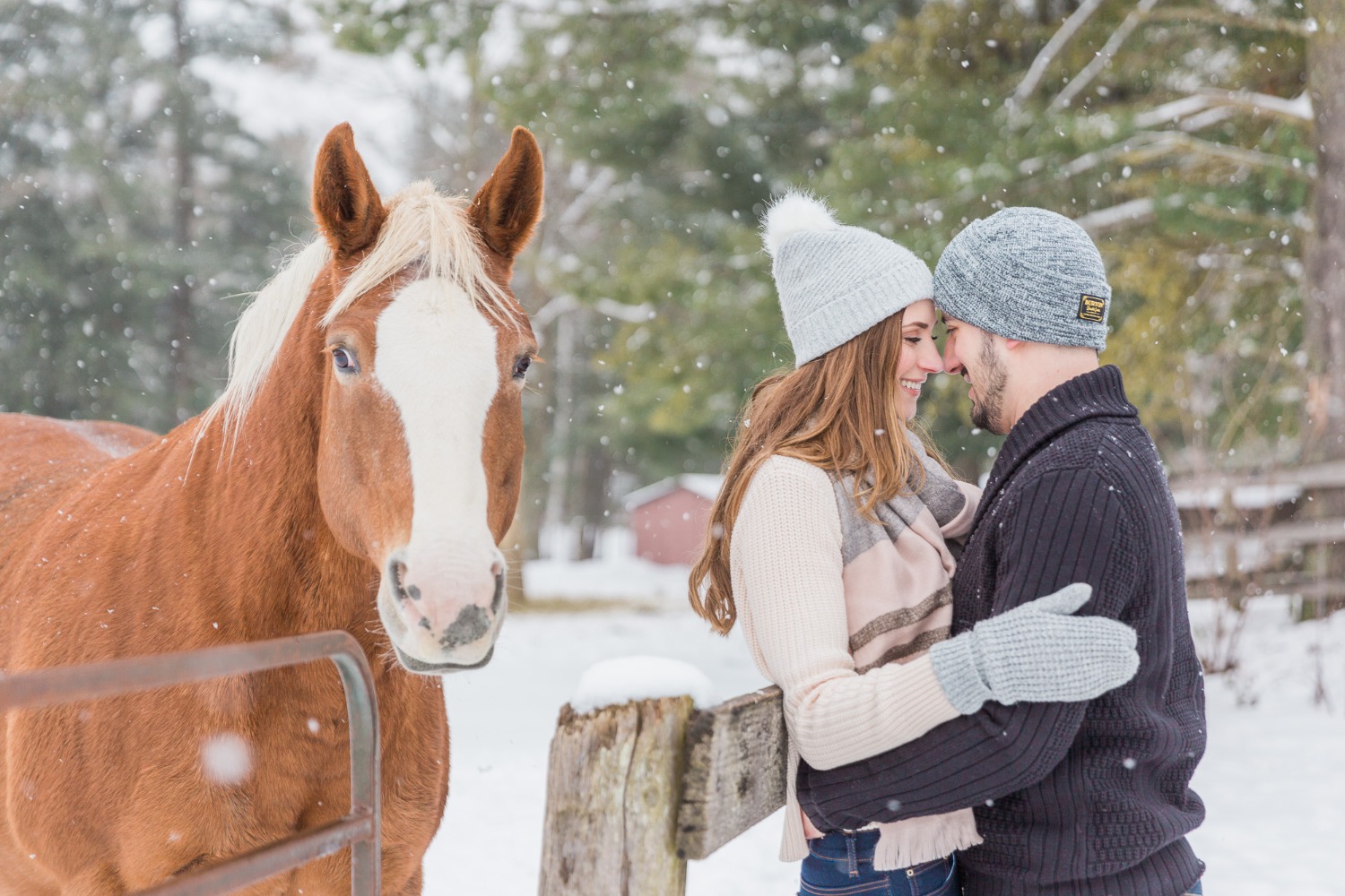 onelovetwohorsesandatonofsnowengagementshoot55