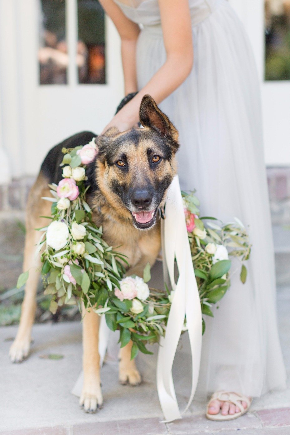 Wedding pup with wreath