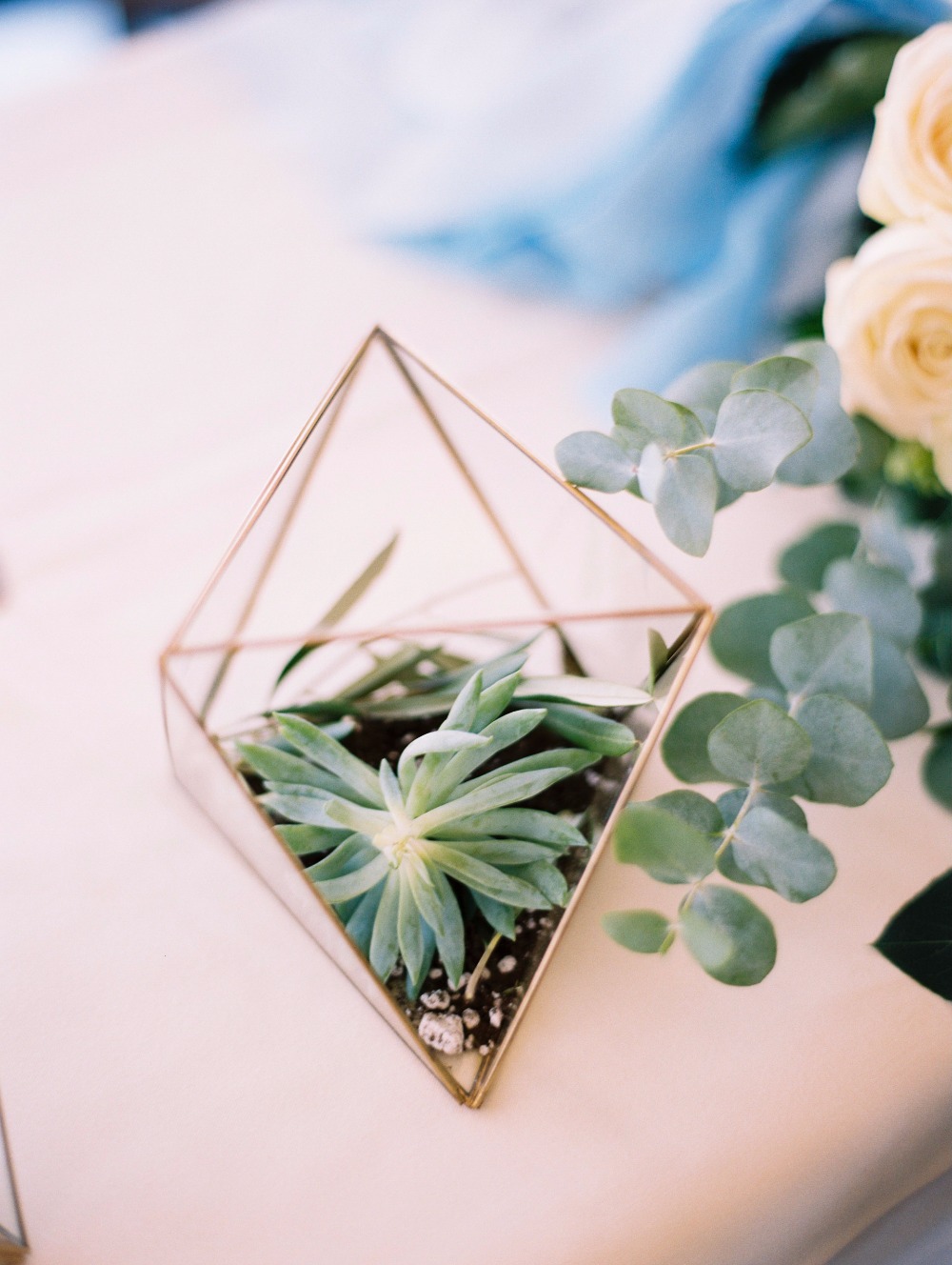 wedding-submission-from-aubrey-silva