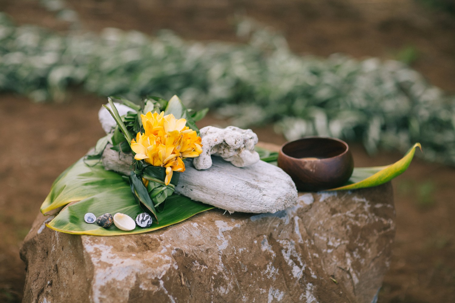 wedding-submission-from-bliss-wedding