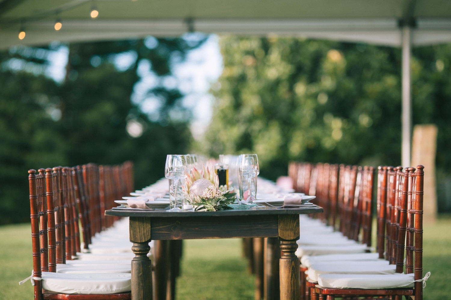 wedding-submission-from-bliss-wedding