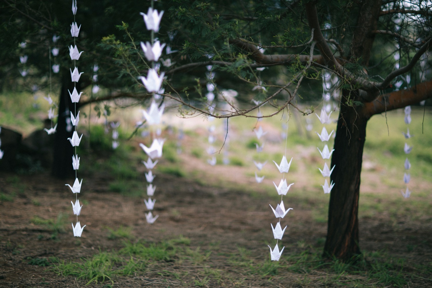 wedding-submission-from-bliss-wedding