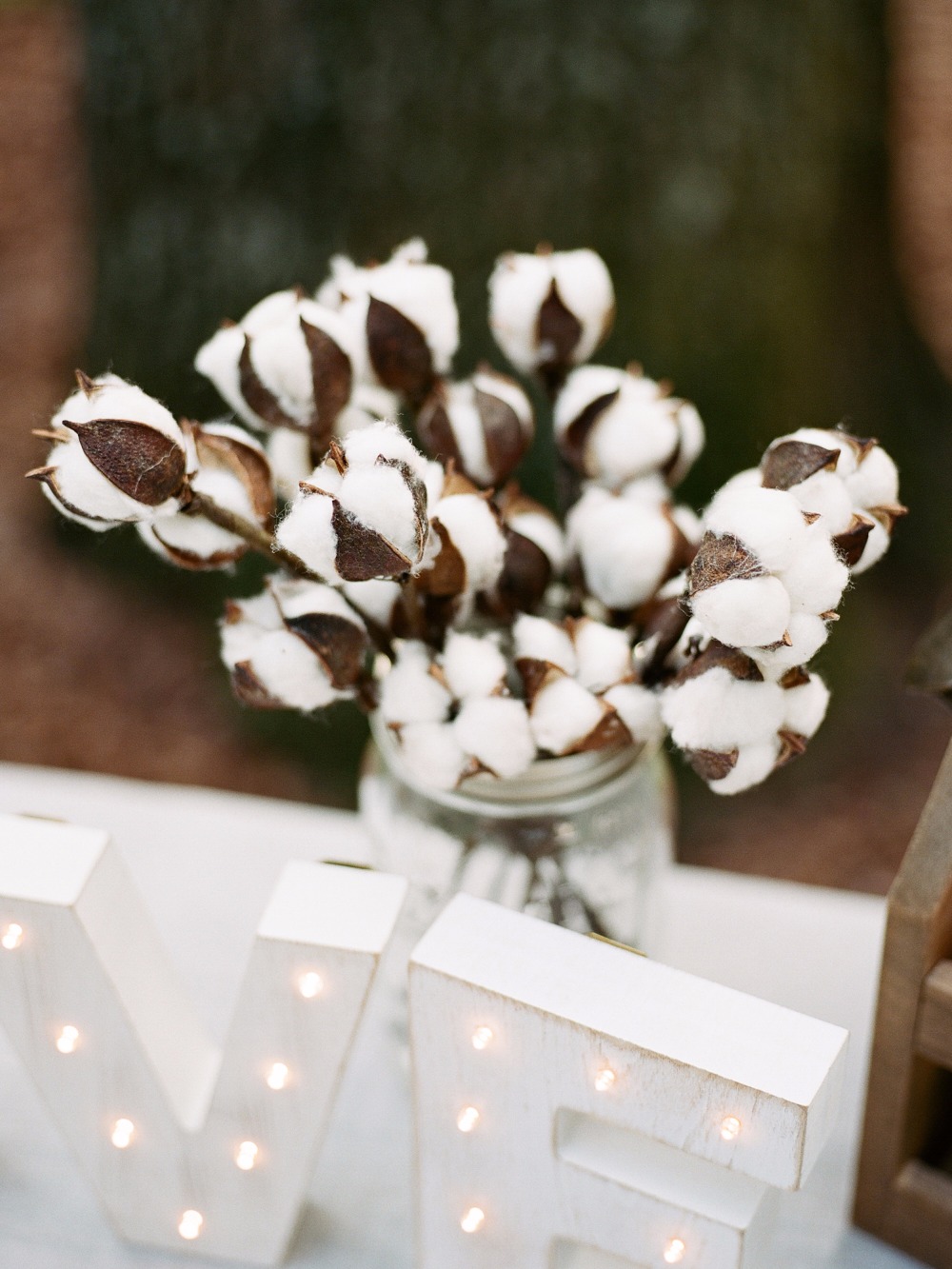 wedding-submission-from-davy-whitener