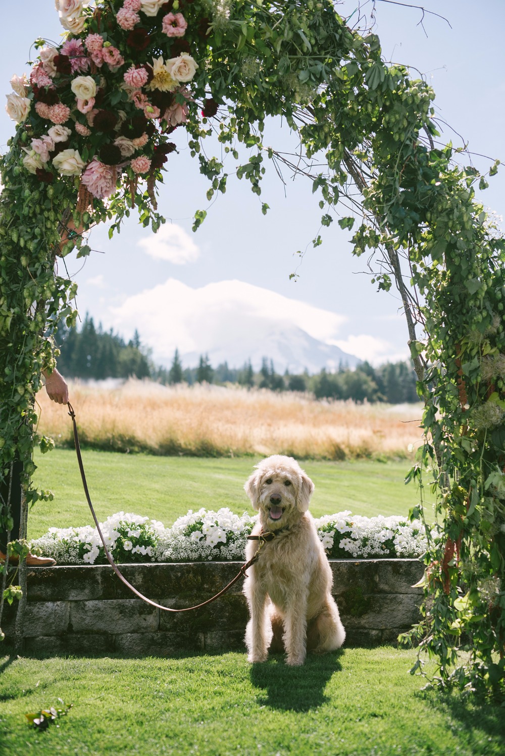 wedding-submission-from-nora-sheils