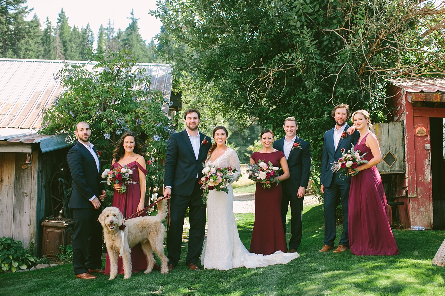 wedding-submission-from-nora-sheils